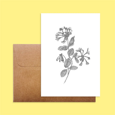 Carte - Chèvrefeuille