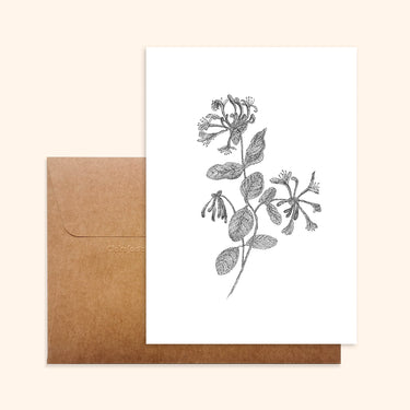 Carte - Chèvrefeuille