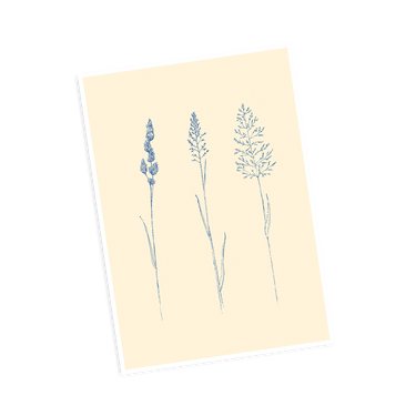Carte - Graminées