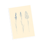 Carte - Graminées