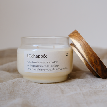 Bougie parfumée Graine de Shopping