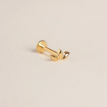 Piercing Nova