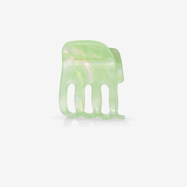 Pince - Paw Mint