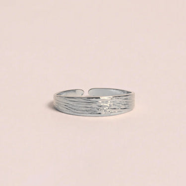 Bague Dana petit - argenté