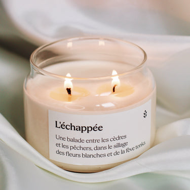 Bougie parfumée Graine de Shopping