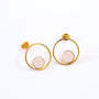 Puces Gallica ring - poudre