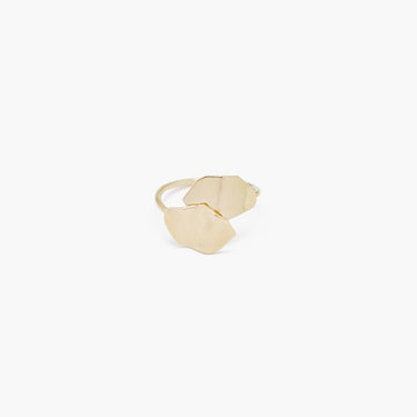 Pointille Ring